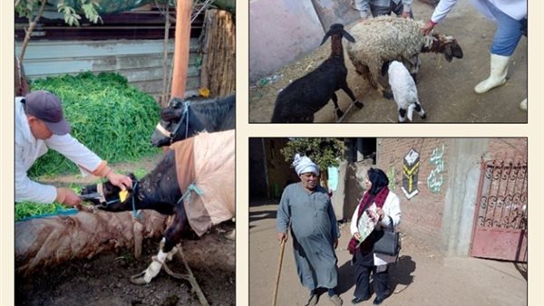 فعاليات بيطري الشرقية