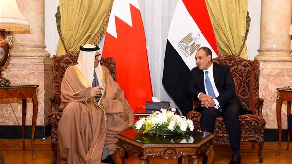 وزير الخارجية المصري