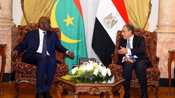 وزير الخارجية  المصري