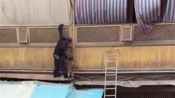 الحماية المدنية تنقذ