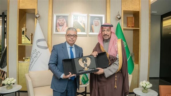 لقاء السفير المصري