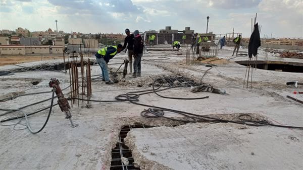 جانب من الفاعليات