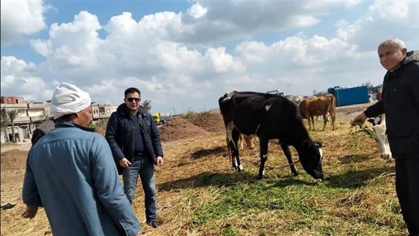 جانب من الفاعليات