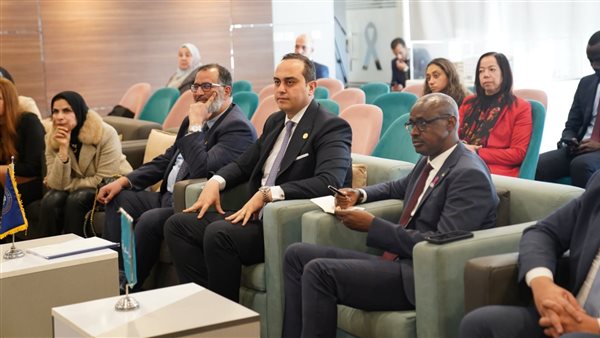 الدكتور أحمد السبكي