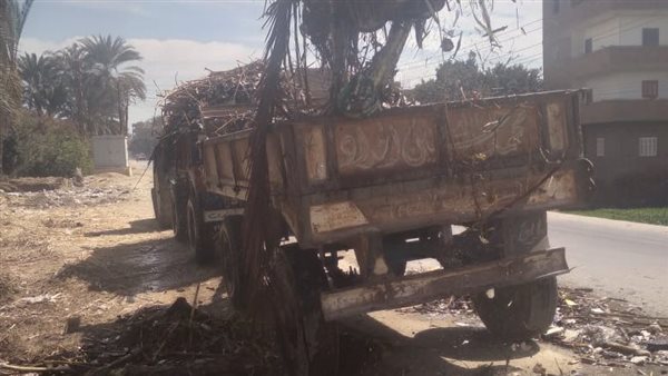 جانب من الفاعليات