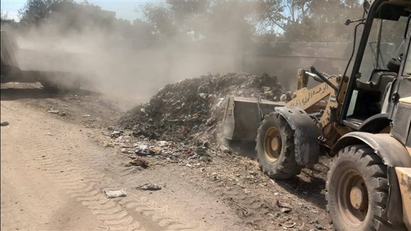 جانب من الفاعليات