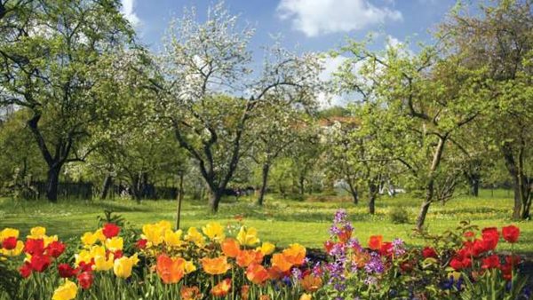 موعد بداية فصل الربيع