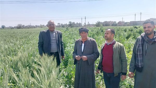 جولات تفقدية للمحاصيل