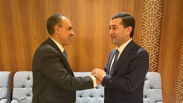 بدر عبد العاطي ـ