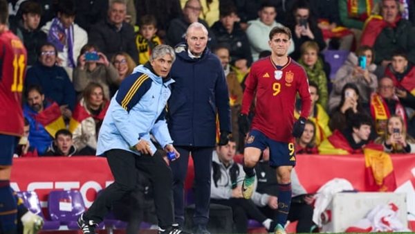 كارلس مينارو