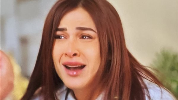 مسلسل وتقابل حبيب