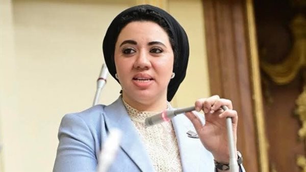 النائبة أميرة صابر