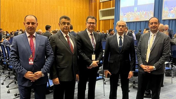 الوفد المصري