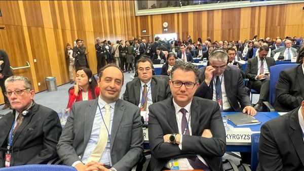 جانب من الفاعليات