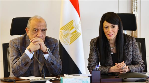 وزيرا التخطيط والكهرباء