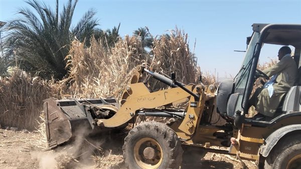 جانب من الفاعليات