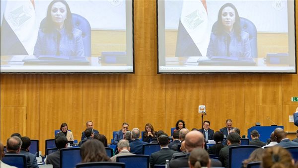 جانب من الفاعليات