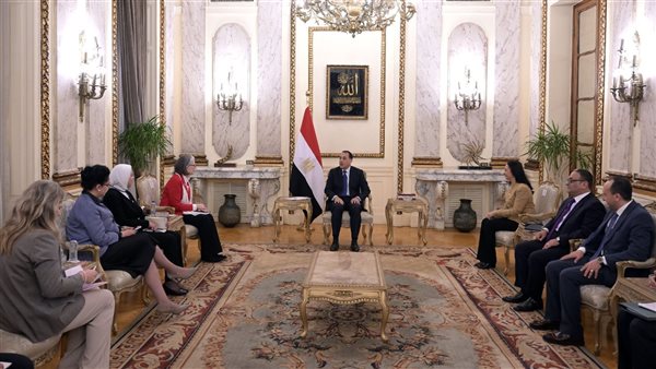 لقاء رئيس الوزراء