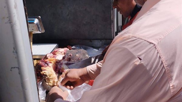 فعاليات  قافلة سيارات