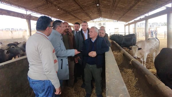 وكيل البحوث الزراعية