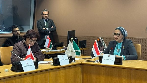 المستشارة أمل عمار