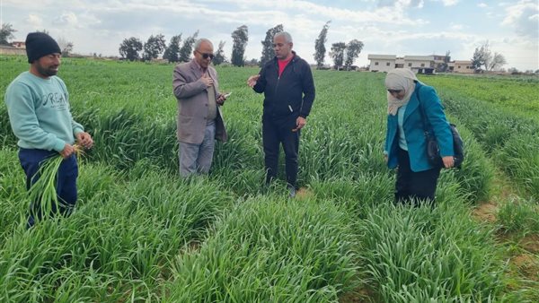 فعاليات الادارة المركزية