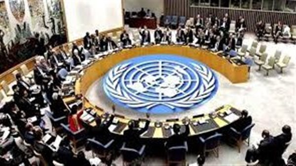  مجلس الأمن الدولى