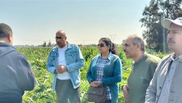 فعاليات الحملة القومية