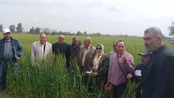 فعاليات الإدارة المركزية