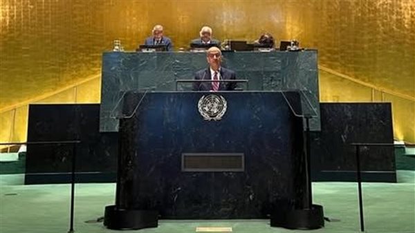 السفير أسامة عبد