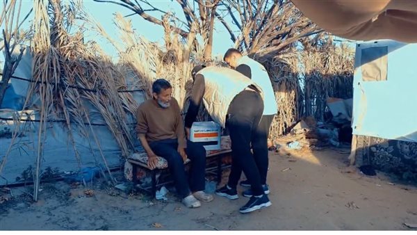  اللجنة المصرية 