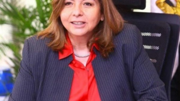 الرئيس التنفيذي لصندوق