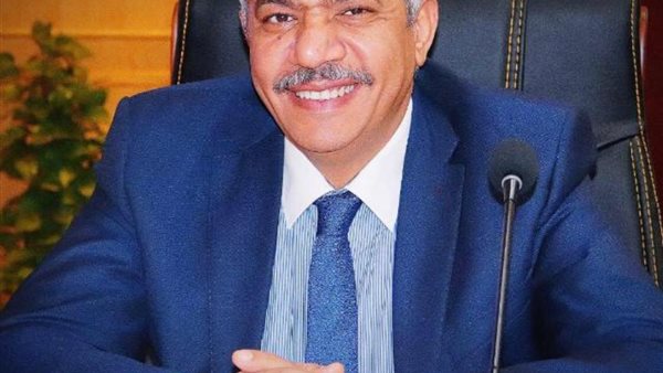 محمود صديق، الأستاذ