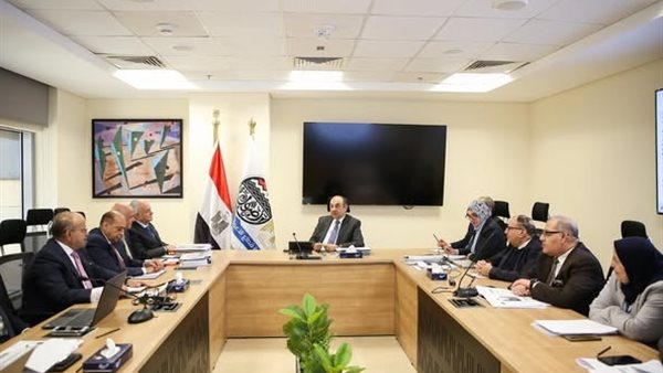 وزير قطاع الأعمال