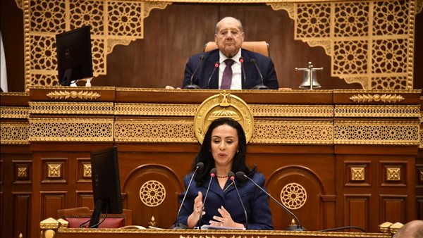 وزيرة التضامن