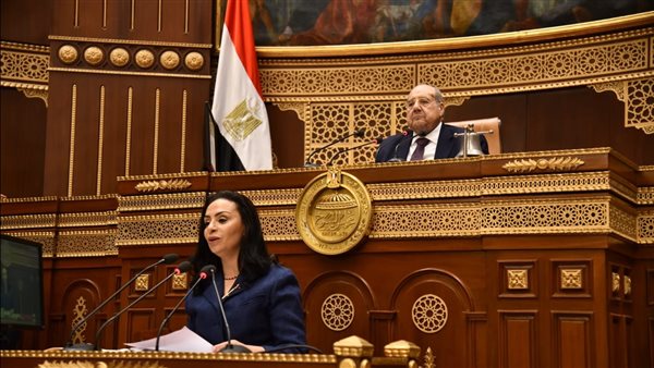 وزيرة التضامن 