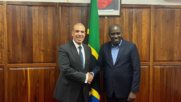 الدكتور بدر عبد العاطي