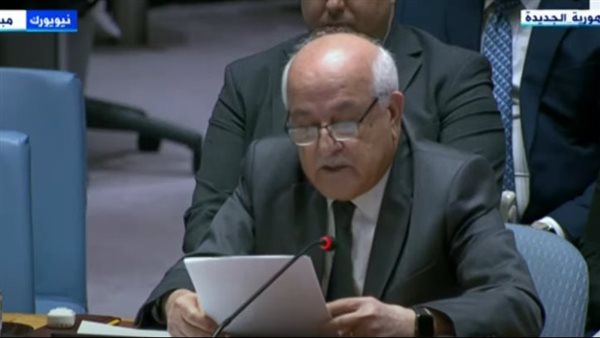 جلسة مجلس الأمن الدولي