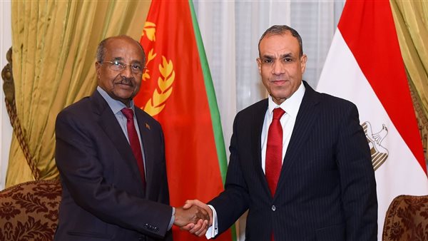 وزير الخارجية المصري