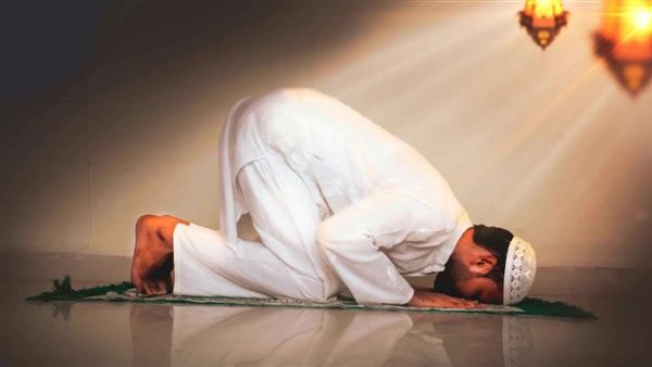  الدكتور محمود شلبي