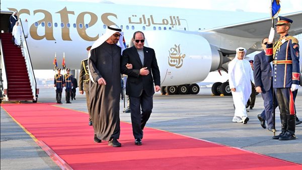 الرئيس السيسى يستقبل