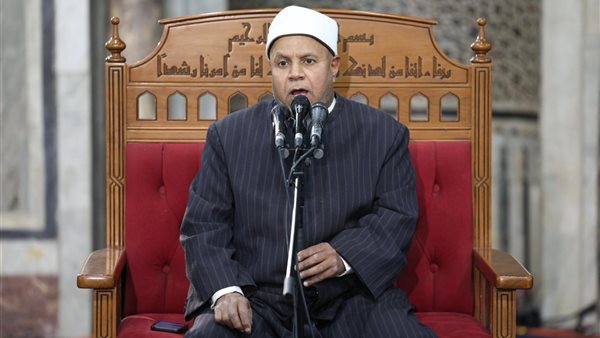 الدكتور محمد أبوزيد