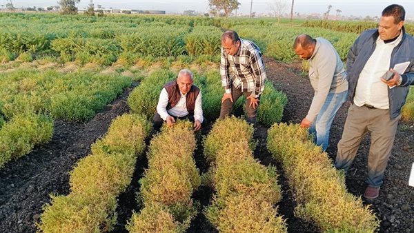 وزارة الزراعة 