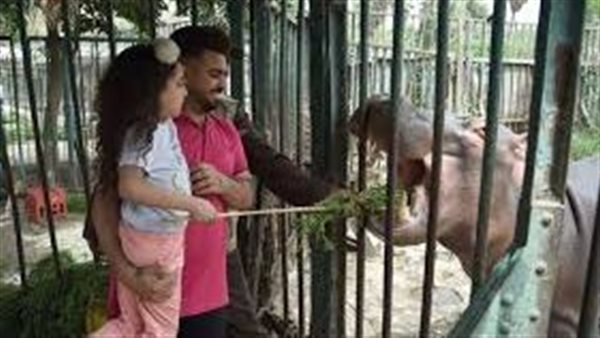 هل يتم فتح حديقة