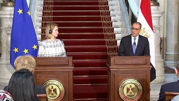 وزير الخارجية ـ ممثلة