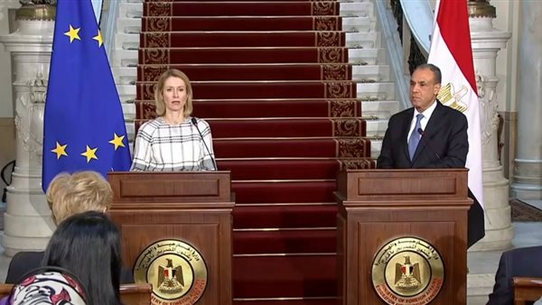 الدكتور بدر عبد العاطي