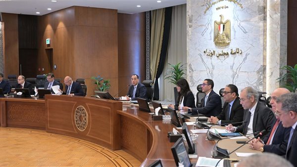 اللجنة الاستشارية