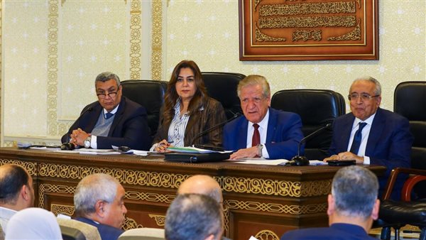 وزيرة التنمية المحلية