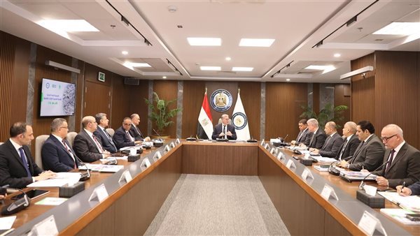 المهندس كريم بدوي