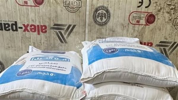 جانب من المضبوطات